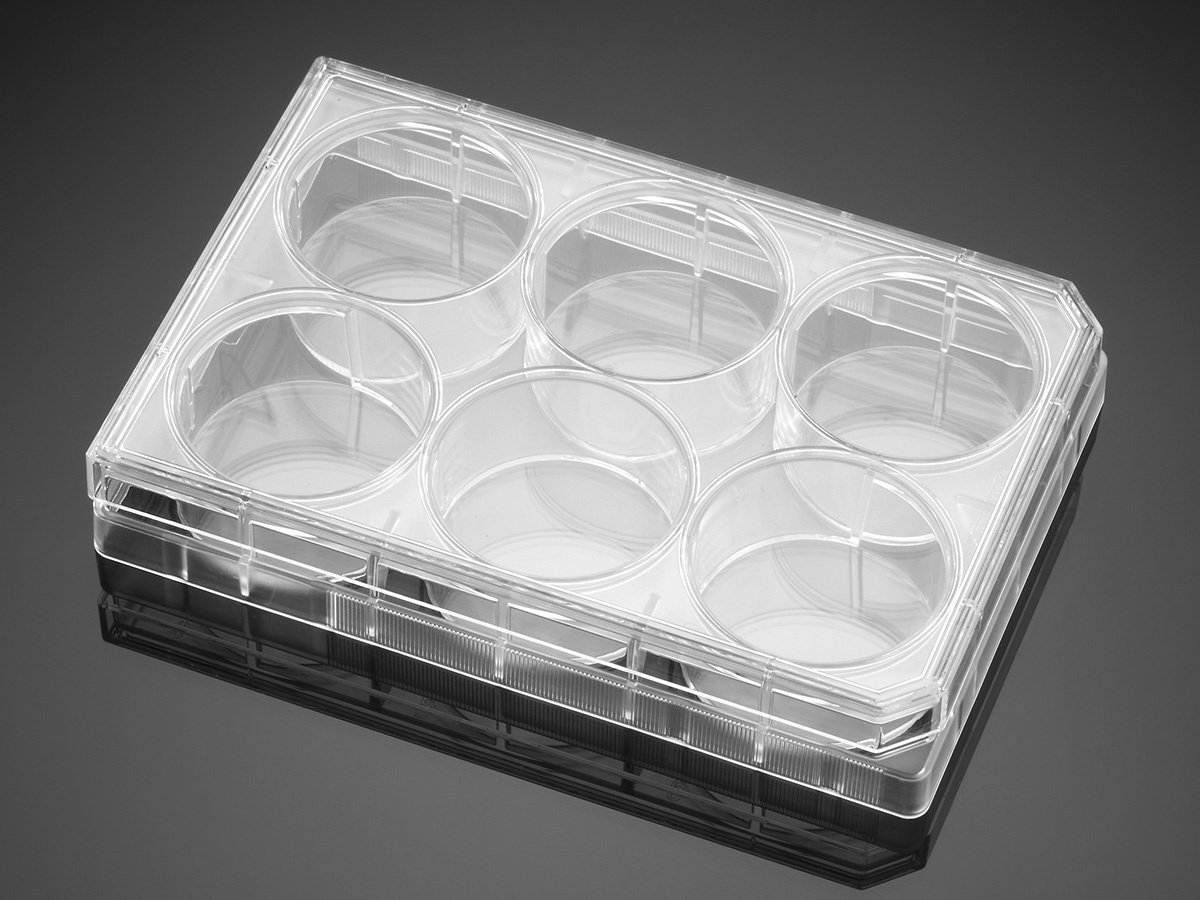 Falcon 6-well, clear, flat-bottom, multi-well cell culture plate