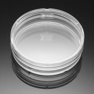 Falcon® 60 mm TC-treated Cell Culture Dish