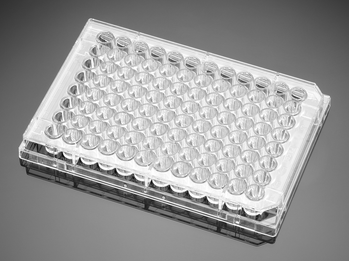 Falcon® 96-well Clear Flat Bottom Not Treated Cell Culture Microplate, with Lid, Individually Wrapped, Sterile