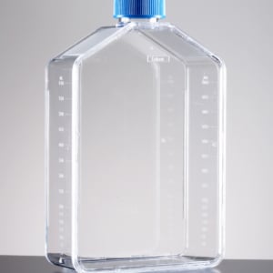 Falcon® Rectangular Straight Neck Cell Culture Flask with Vented Cap