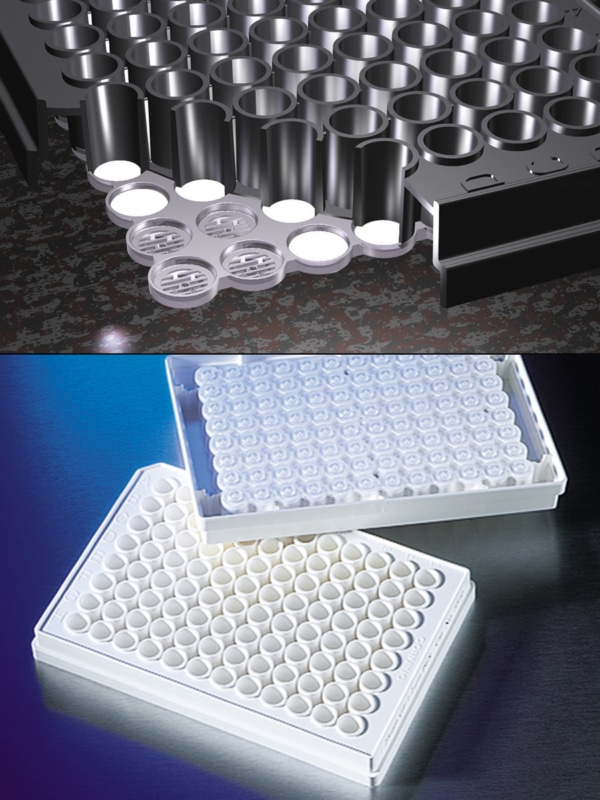 Corning® FiltrEX 96-well Filter Plates