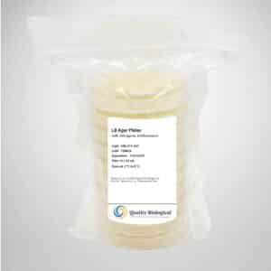 LB Agar Plates with 200 μg/mL Erythromycin