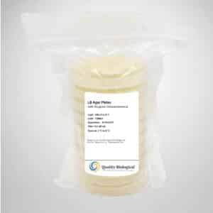 LB Agar with 50 μg/mL Chloramphenicol, 40 mL