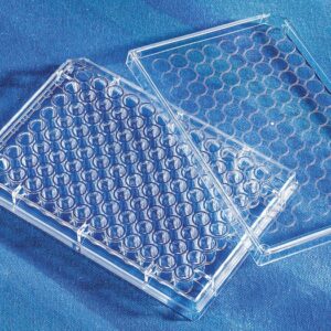 Corning 96 Well Clear Flat Bottom Poly-D-Lysine Coated Microplate