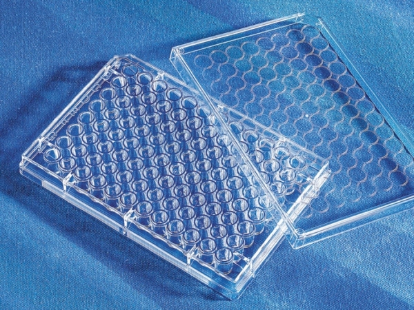 Corning 96 Well Clear Flat Bottom Poly-D-Lysine Coated Microplate