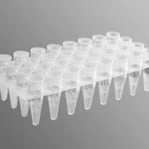 Axygen® 32 Well Polypropylene PCR Microplate, Clear, Nonsterile