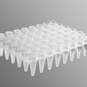 Axygen® 48-well Polypropylene PCR Microplate