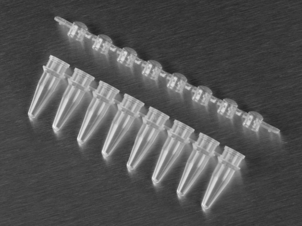 Axygen® 0.2 mL Polypropylene PCR Tube Strips and Flat Cap Strips, 8 Tubes/Strip, 8 Flat Caps/Strip, Clear, Nonsterile