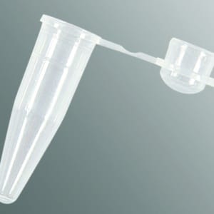 Axygen® 0.2 mL PCR Tubes with Domed Cap, Clear, Nonsterile