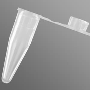 Axygen® 0.2 mL Thin Wall PCR Tubes with Flat Cap, Clear, Nonsterile