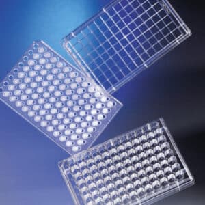 HTS Transwell®-96 Permeable Support with 0.4 µm PET Membrane