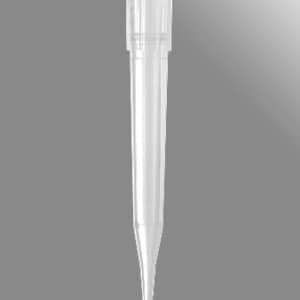 Axygen® 300µL Universal Fit Pipet Tips, T350 Series