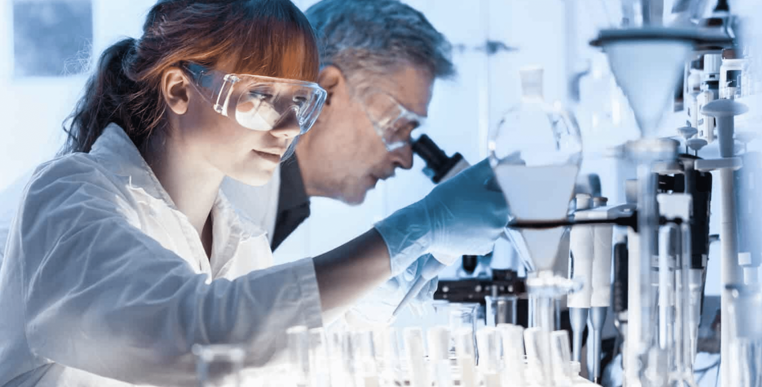 Quality Commitment - Exceeding Expectations
