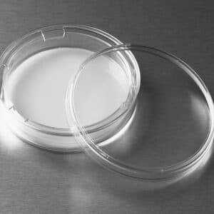Transwell ®, 75mm, TC treated, 0.4 µm pore size