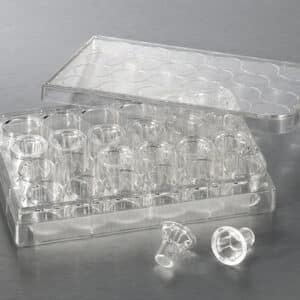 Transwell® with Polycarbonate Membrane Insert