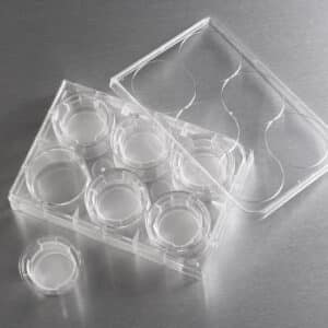 Transwell® Polyester Membrane Insert