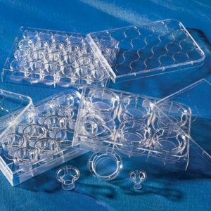 Transwell® Clear Inserts with Polyester PET Membranes