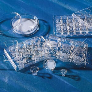 Transwell® Permeable Supports